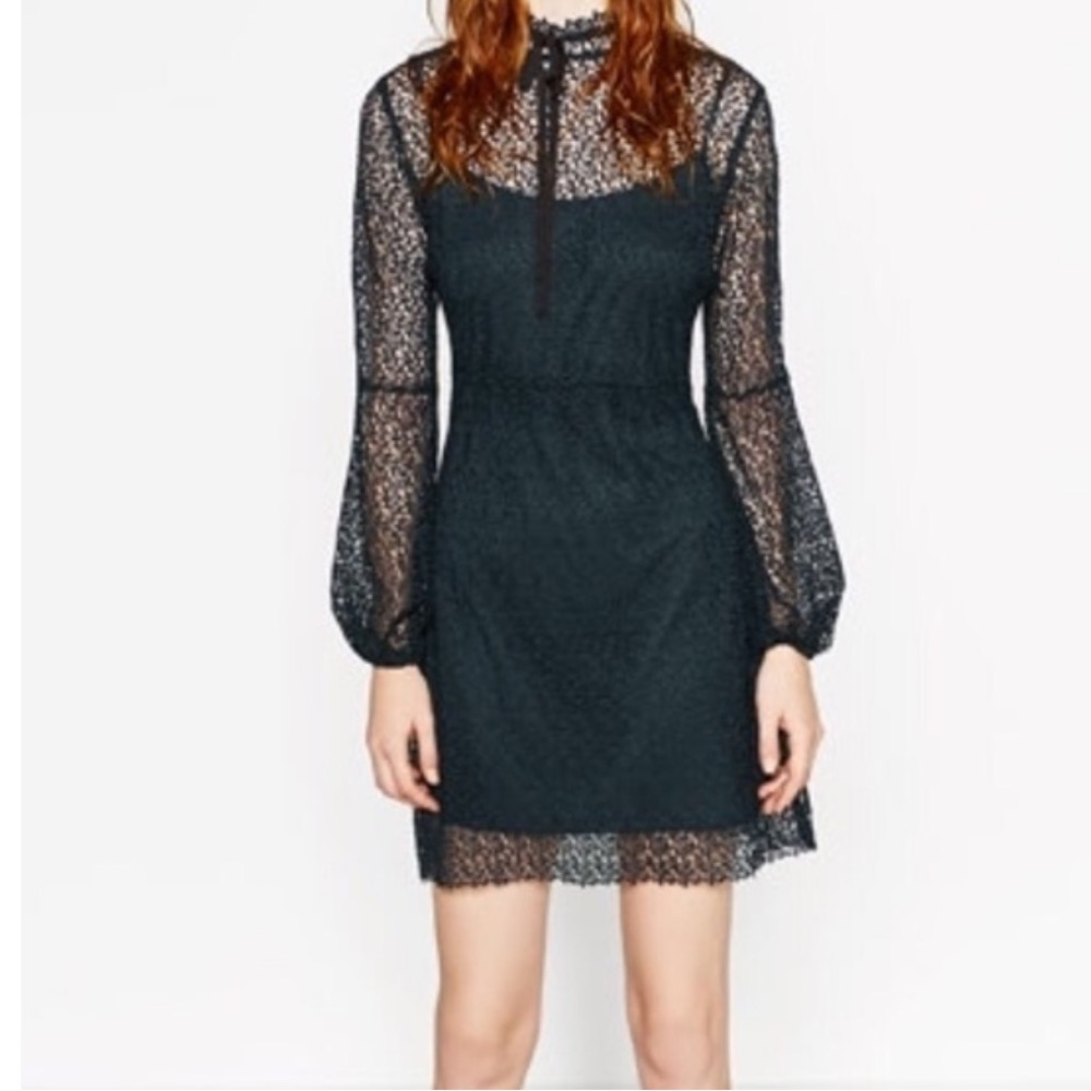 Zara Deep Green Tulip Long Sleeves Dress Size Medium